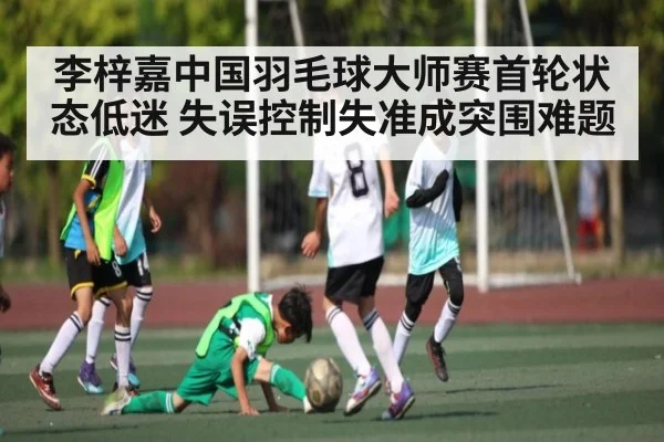 李梓嘉中国羽毛球大师赛首轮状态低迷 失误控制失准成突围难题 - ng28.h5