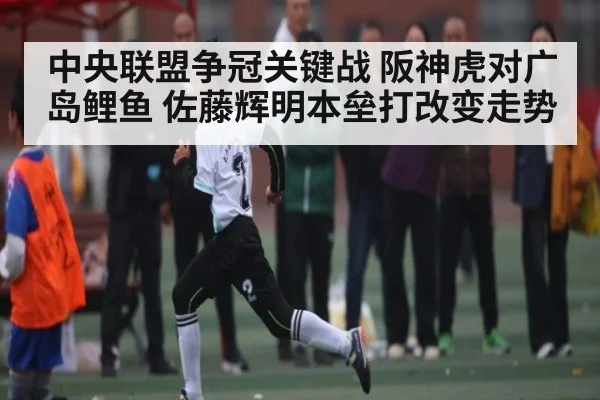 中央联盟争冠关键战 阪神虎对广岛鲤鱼 佐藤辉明本垒打改变走势 | ng28.h5